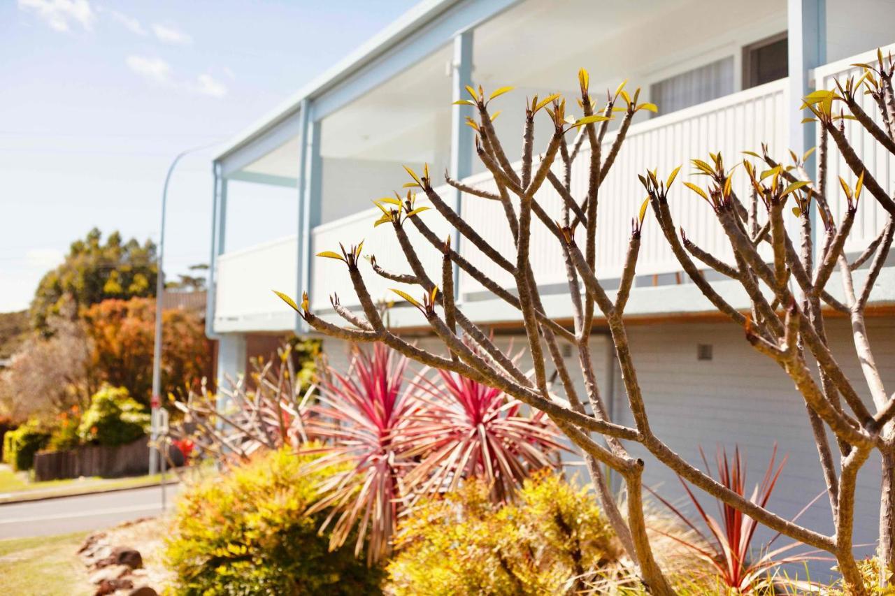 Mollymook